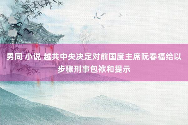 男同 小说 越共中央决定对前国度主席阮春福给以步骤刑事包袱和提示