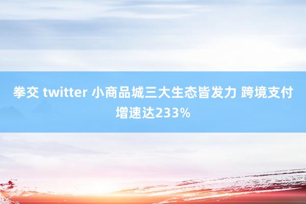 拳交 twitter 小商品城三大生态皆发力 跨境支付增速达233%