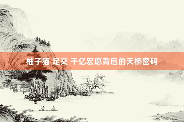 柚子猫 足交 千亿宏愿背后的天桥密码