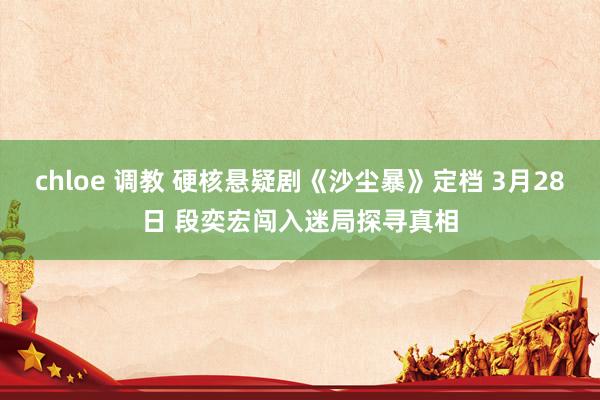 chloe 调教 硬核悬疑剧《沙尘暴》定档 3月28日 段奕宏闯入迷局探寻真相