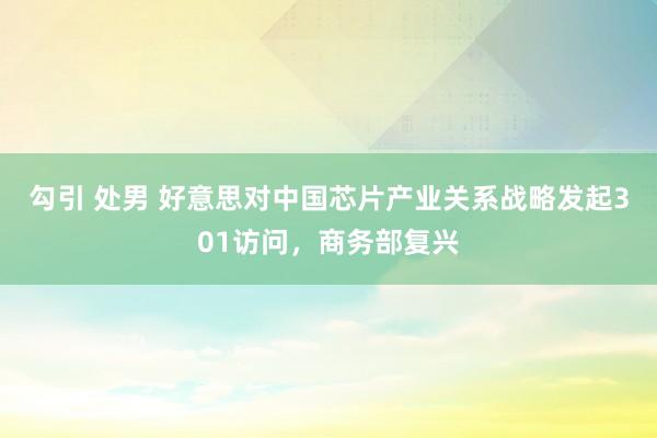 勾引 处男 好意思对中国芯片产业关系战略发起301访问，商务部复兴