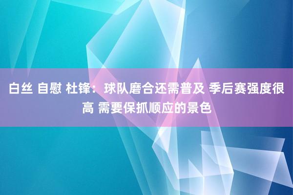 白丝 自慰 杜锋：球队磨合还需普及 季后赛强度很高 需要保抓顺应的景色