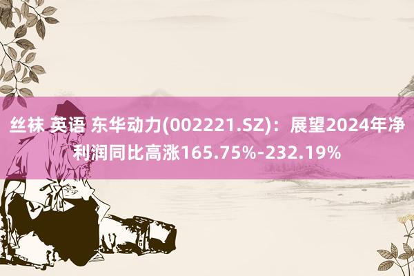 丝袜 英语 东华动力(002221.SZ)：展望2024年净利润同比高涨165.75%-232.19%