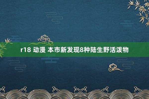 r18 动漫 本市新发现8种陆生野活泼物