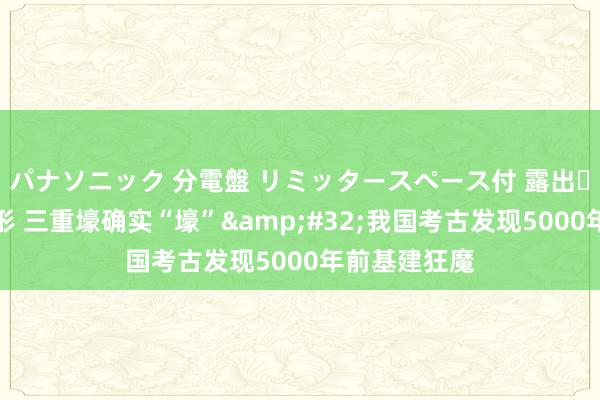 パナソニック 分電盤 リミッタースペース付 露出・半埋込両用形 三重壕确实“壕”&#32;我国考古发现5000年前基建狂魔